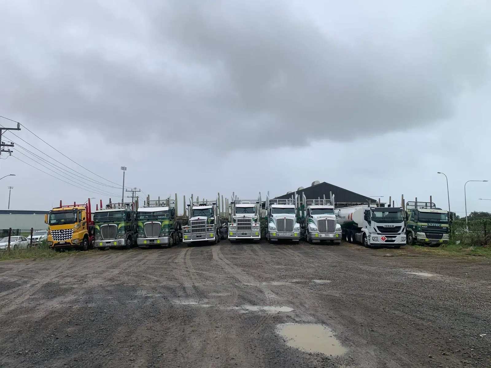 Nine BHL trucks lined up at the depot yard