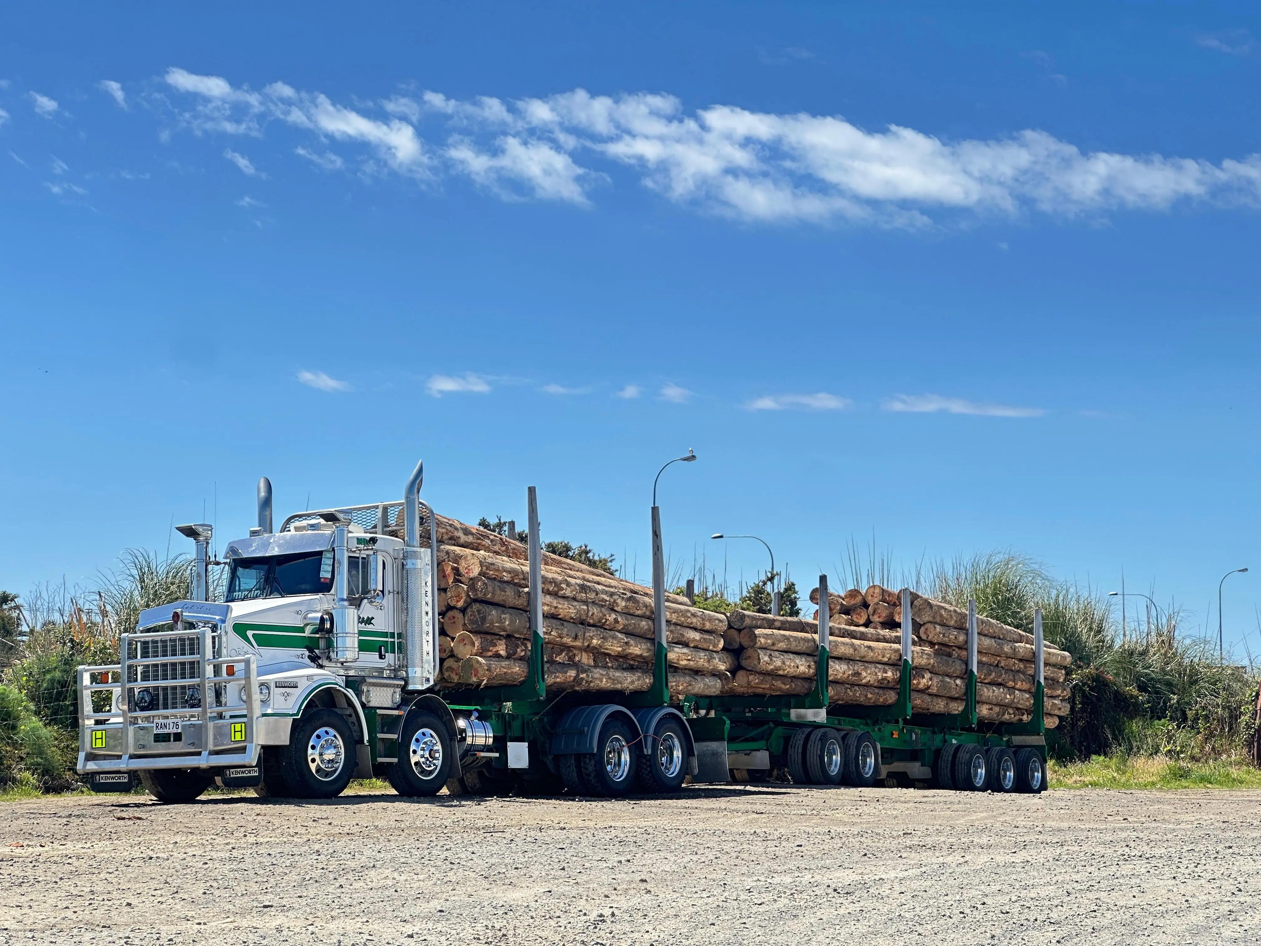 BHL log truck loaded with logs, forestry block in the background